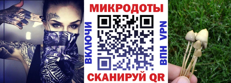 Псилоцибиновые грибы ЛСД  Александров 