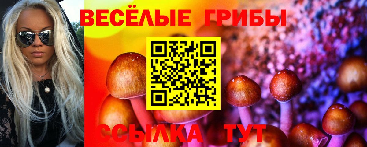 Галлюциногенные грибы мицелий Александров